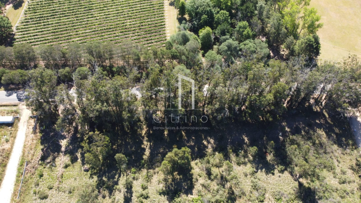 Terreno ID.1742 - Terreno apto para construir !!