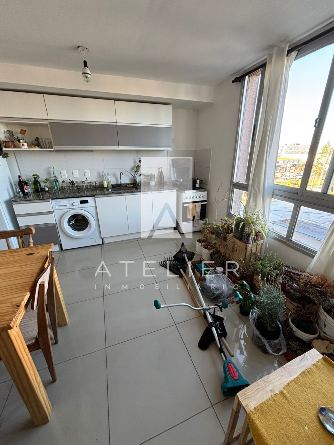 Maldonado - GoPunta - Portal Inmobiliario de Punta del Este - Maldonado