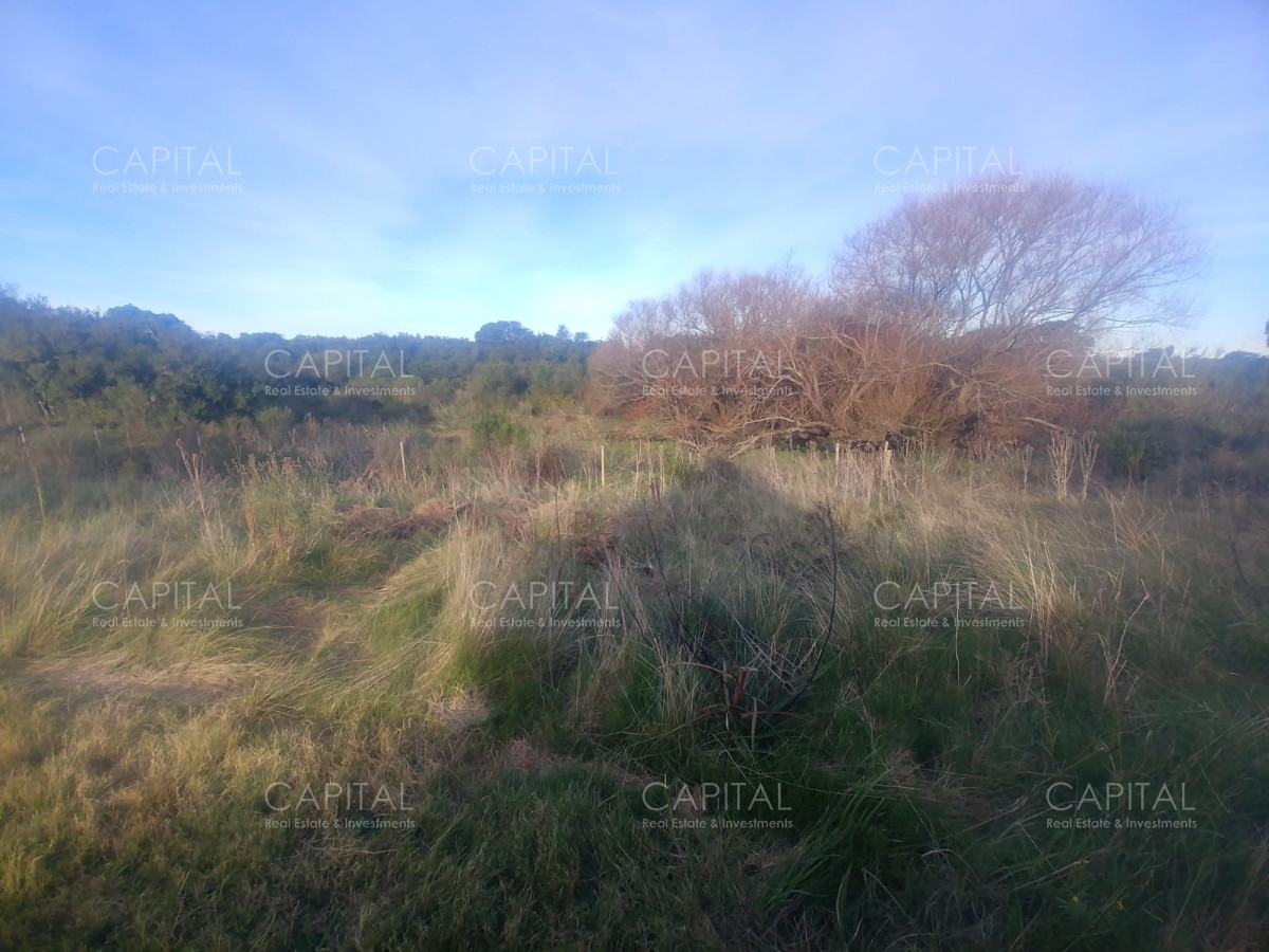 Chacra ID.29443 - Chacra en Piriapolis