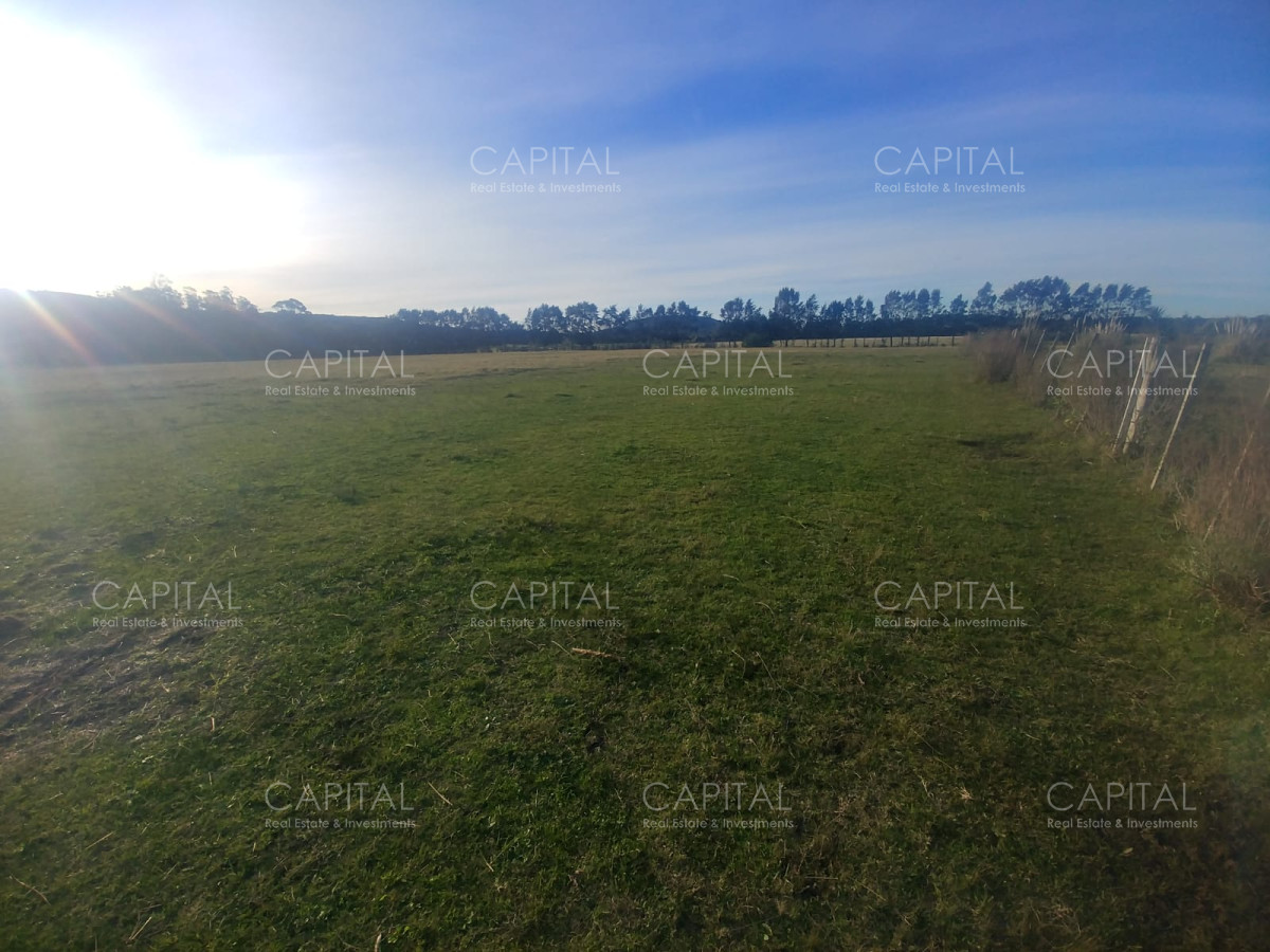 Chacra ID.29443 - Chacra en Piriapolis