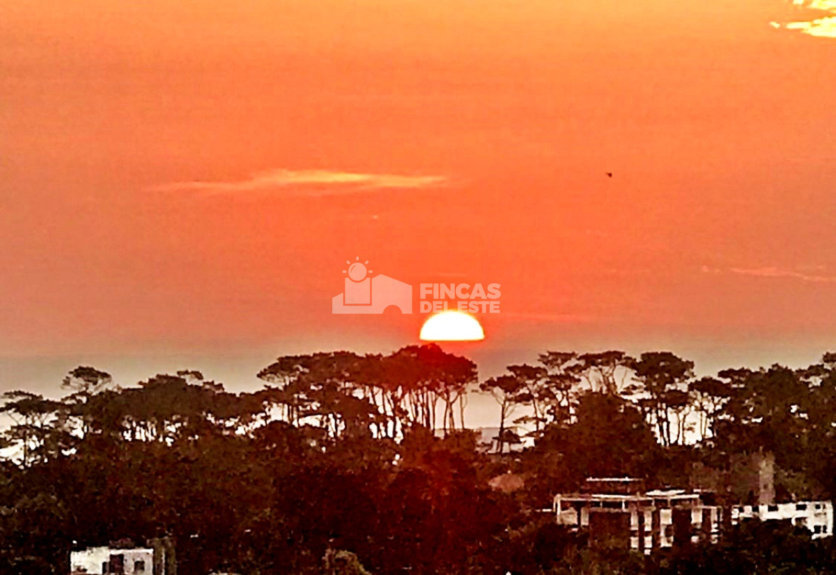 Centro Maldonado - GoPunta - Portal Inmobiliario de Punta del Este - Maldonado