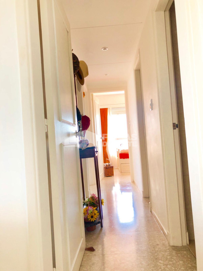 Apartamento ID.238/Apartamento-en-alquiler-de-temporada-en-Punta-del-Este-de-3-dormitorios-en-península- - Apartamento en alquiler de temporada en Punta del Este  de 3 dormitorios en península 