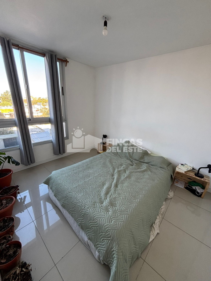 Maldonado - GoPunta - Portal Inmobiliario de Punta del Este - Maldonado