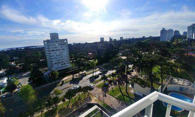 Los mejores servicios de Punta