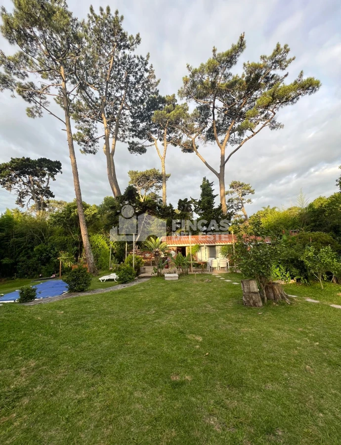 Cantegril - GoPunta - Portal Inmobiliario de Punta del Este - Maldonado