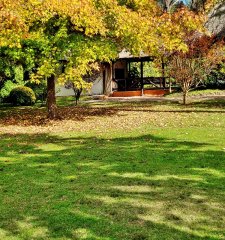Propiedad en VENTA Rincón del Indio 4 Dormitorios 5 Baños