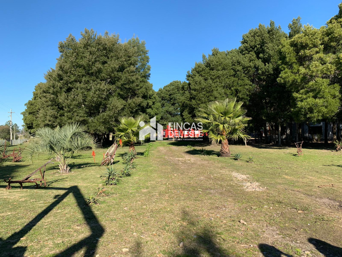 Chacra ID.1610/Chacra-con-casa - Chacra con casa