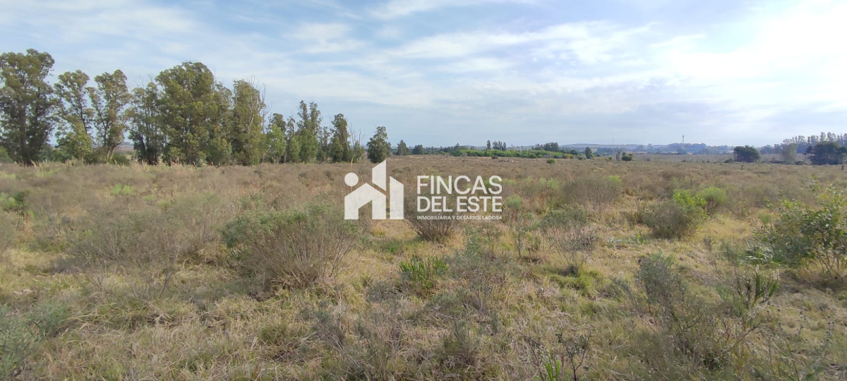 Chacra ID.1577/CHACRA-5Ha- - CHACRA  5Ha 