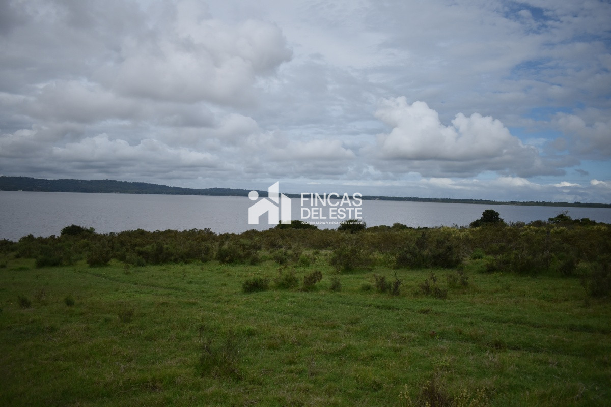 Chacra ID.670/CHACRAS-EN-LAGUNA-DEL-SAUCE - CHACRAS EN LAGUNA DEL SAUCE