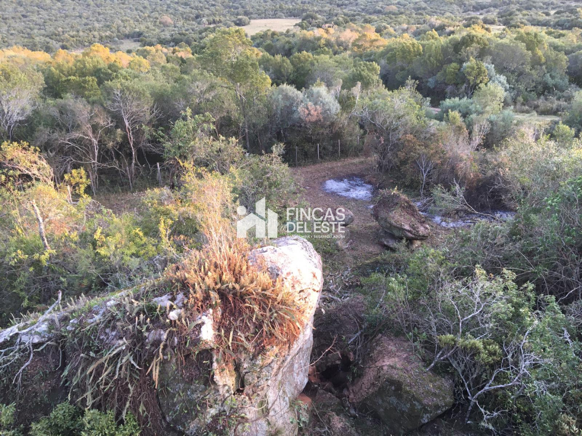 Chacra ID.470/Chacras-en-ruta-39-próximas-a-Aigua. - Chacras en ruta 39 próximas a Aigua.