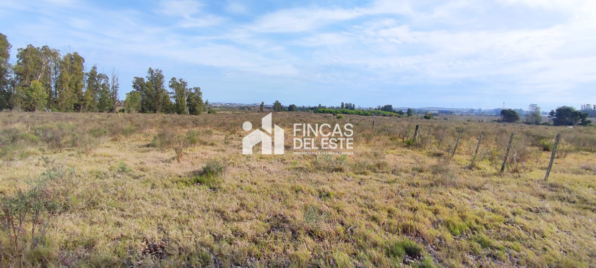 Chacra ID.1577/CHACRA-5Ha- - CHACRA  5Ha 