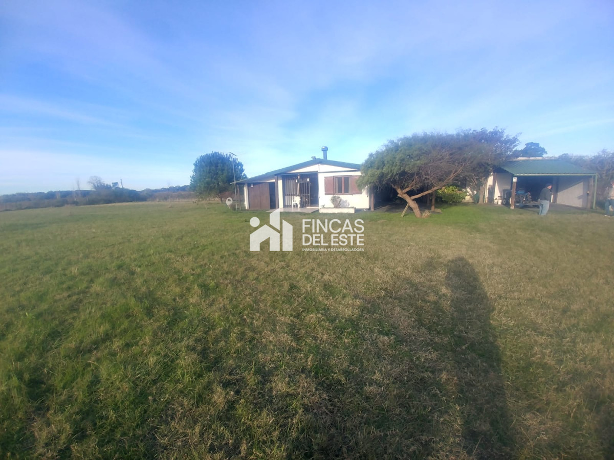 Chacra ID.442/Chacra-en-Piriapolis - Chacra en Piriapolis