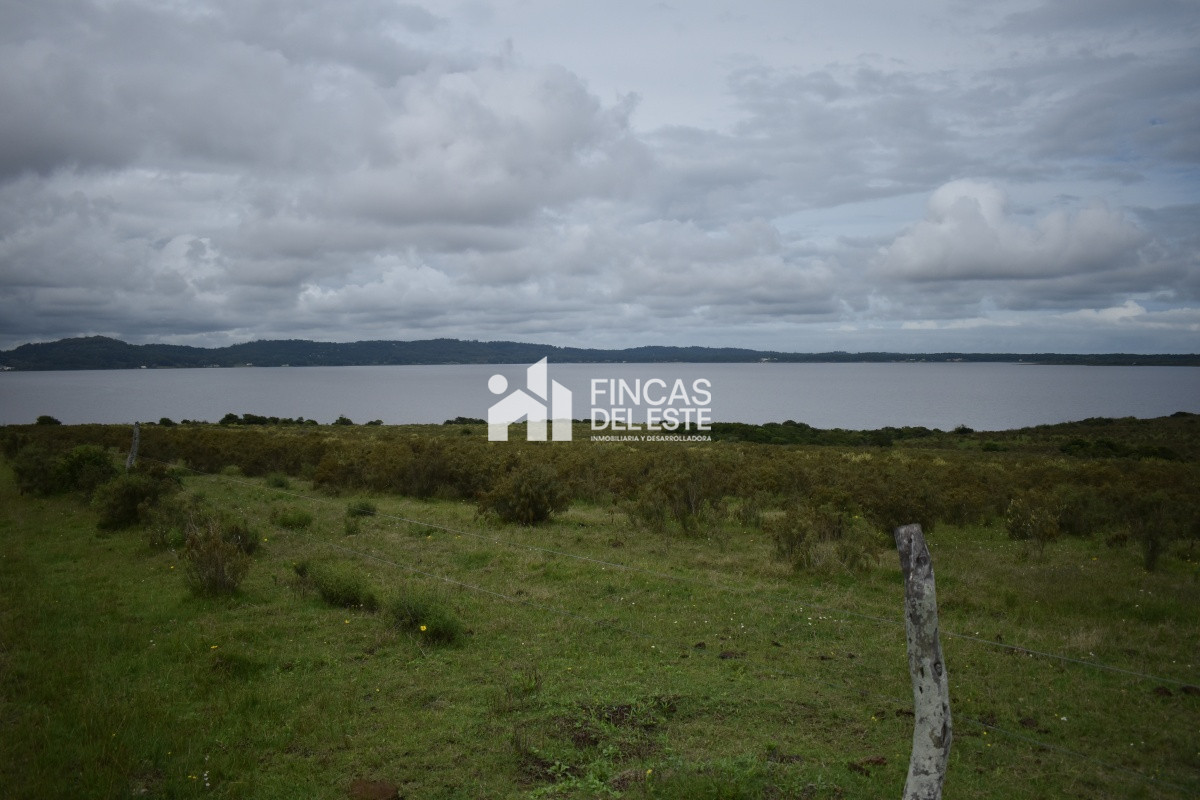 Chacra ID.670/CHACRAS-EN-LAGUNA-DEL-SAUCE - CHACRAS EN LAGUNA DEL SAUCE