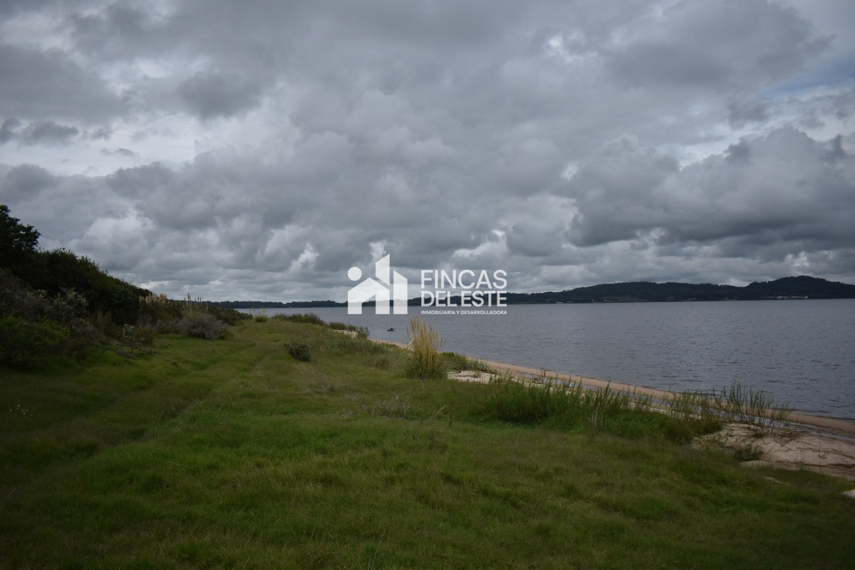 Chacra ID.670/CHACRAS-EN-LAGUNA-DEL-SAUCE - CHACRAS EN LAGUNA DEL SAUCE