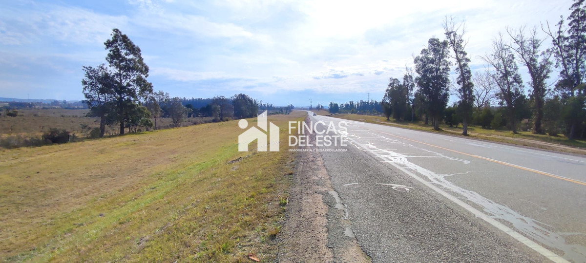 Chacra ID.1577/CHACRA-5Ha- - CHACRA  5Ha 