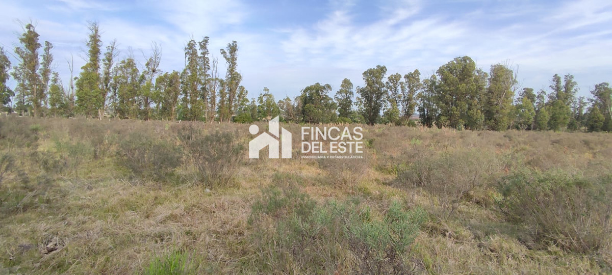 Chacra ID.1577/CHACRA-5Ha- - CHACRA  5Ha 