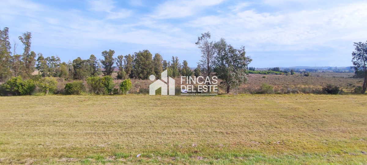 Chacra ID.1577/CHACRA-5Ha- - CHACRA  5Ha 