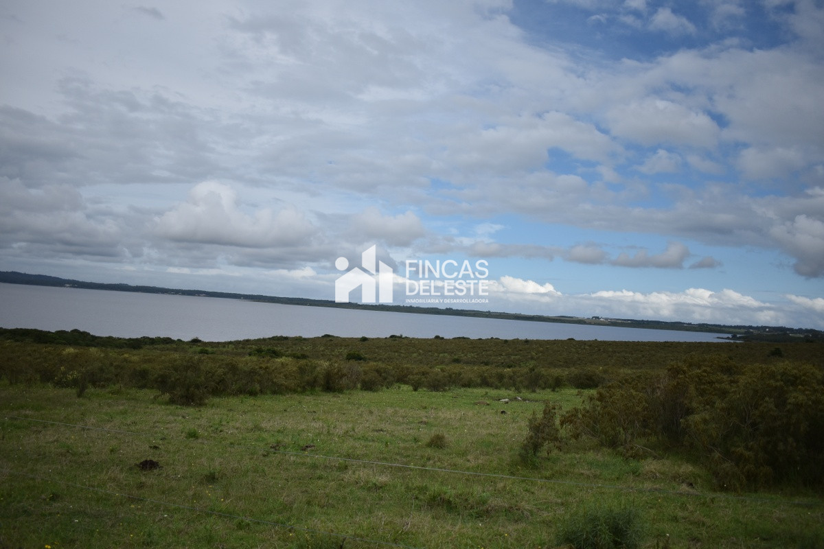 Chacra ID.670/CHACRAS-EN-LAGUNA-DEL-SAUCE - CHACRAS EN LAGUNA DEL SAUCE