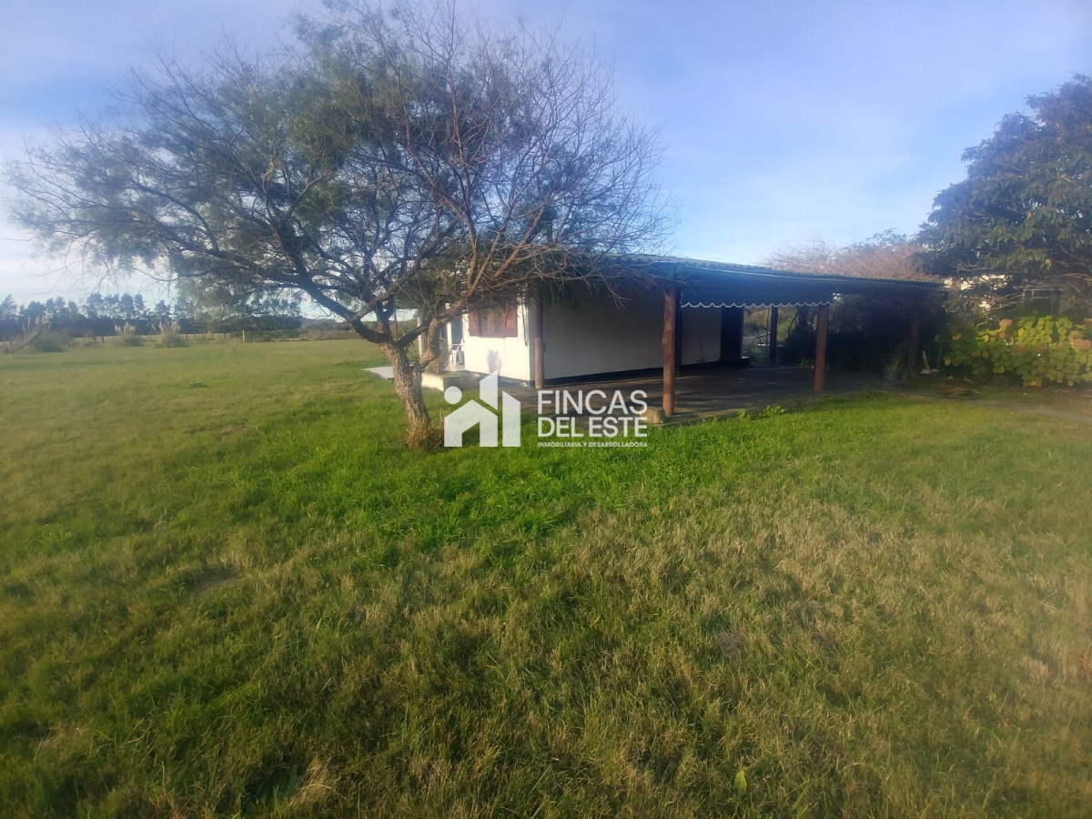 Chacra ID.442/Chacra-en-Piriapolis - Chacra en Piriapolis