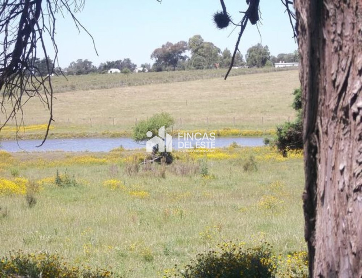 Chacra ID.452/Chacra-cercana-a-Laguna-de-los-Cisnes - Chacra cercana a Laguna de los Cisnes
