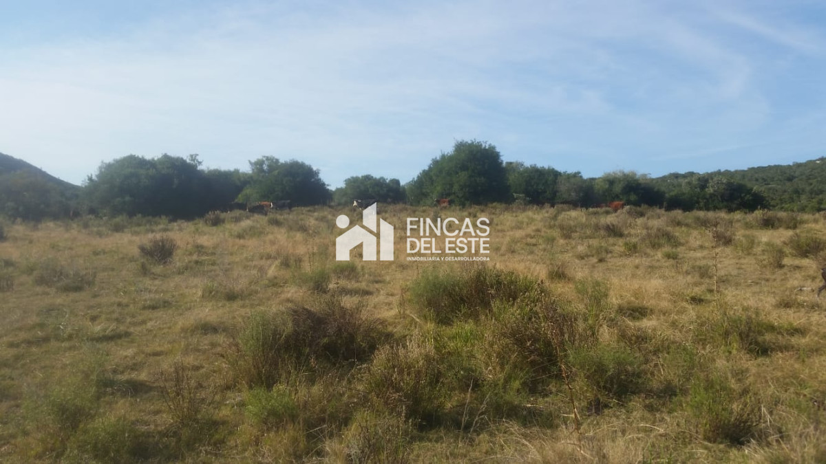 Chacra ID.470/Chacras-en-ruta-39-próximas-a-Aigua. - Chacras en ruta 39 próximas a Aigua.