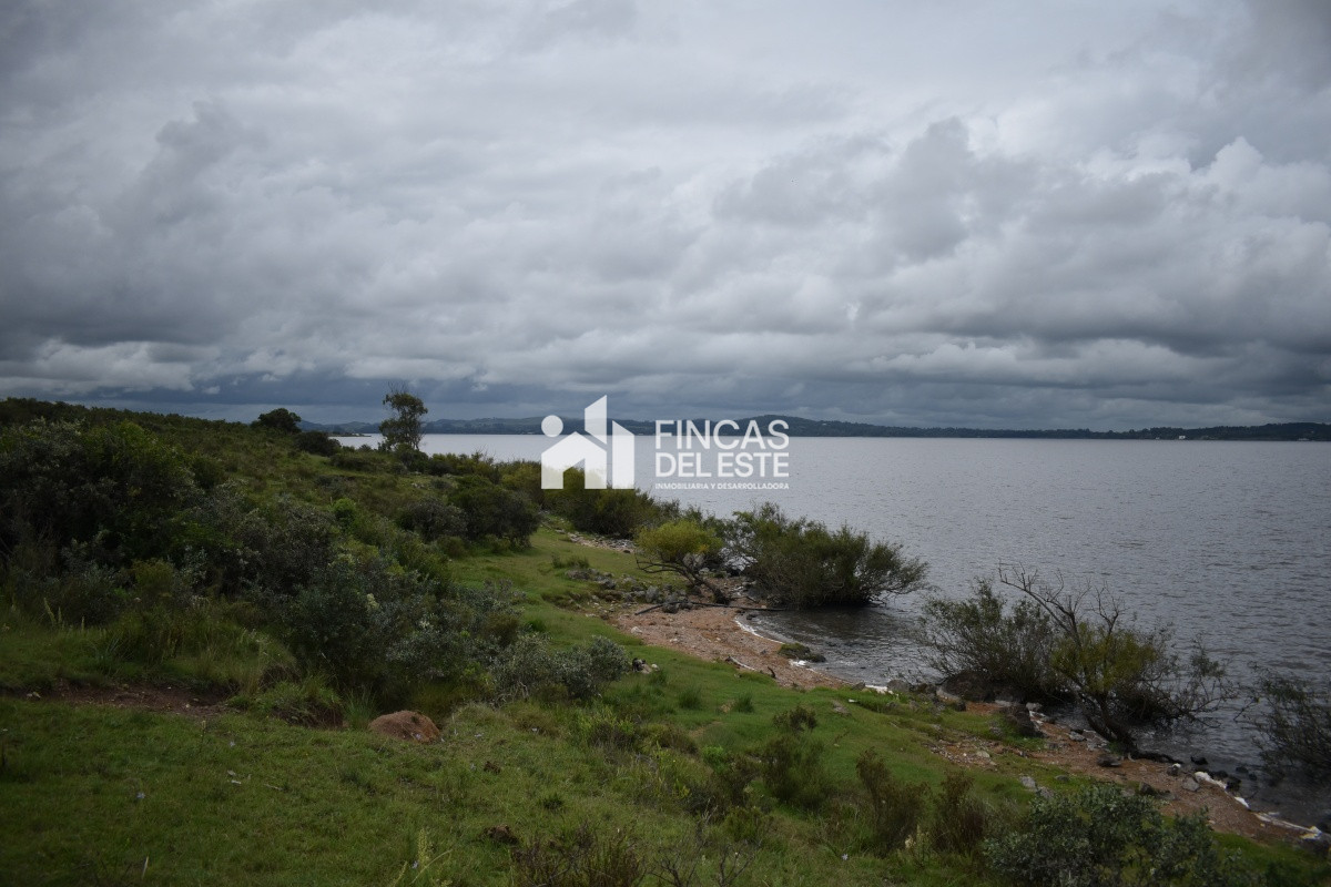 Chacra ID.670/CHACRAS-EN-LAGUNA-DEL-SAUCE - CHACRAS EN LAGUNA DEL SAUCE