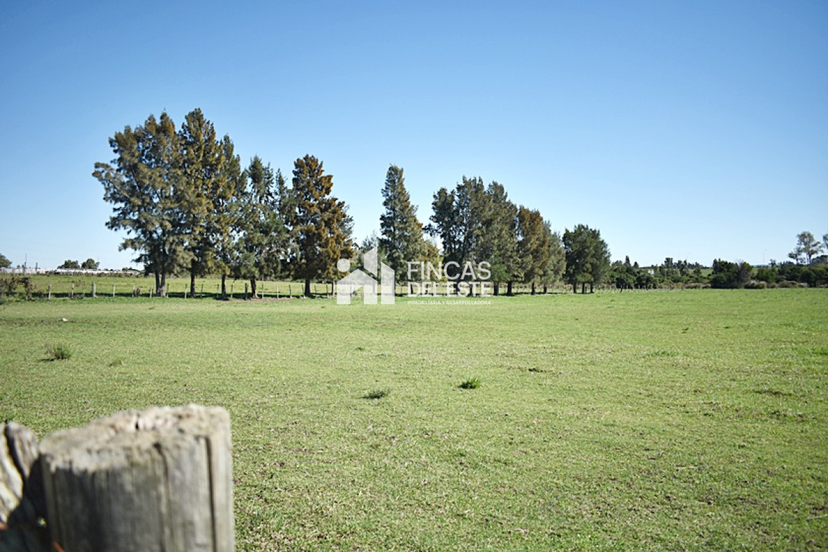 Chacra ID.727/CHACRA-SAN-CARLOS-RUTA-9 - CHACRA SAN CARLOS RUTA 9