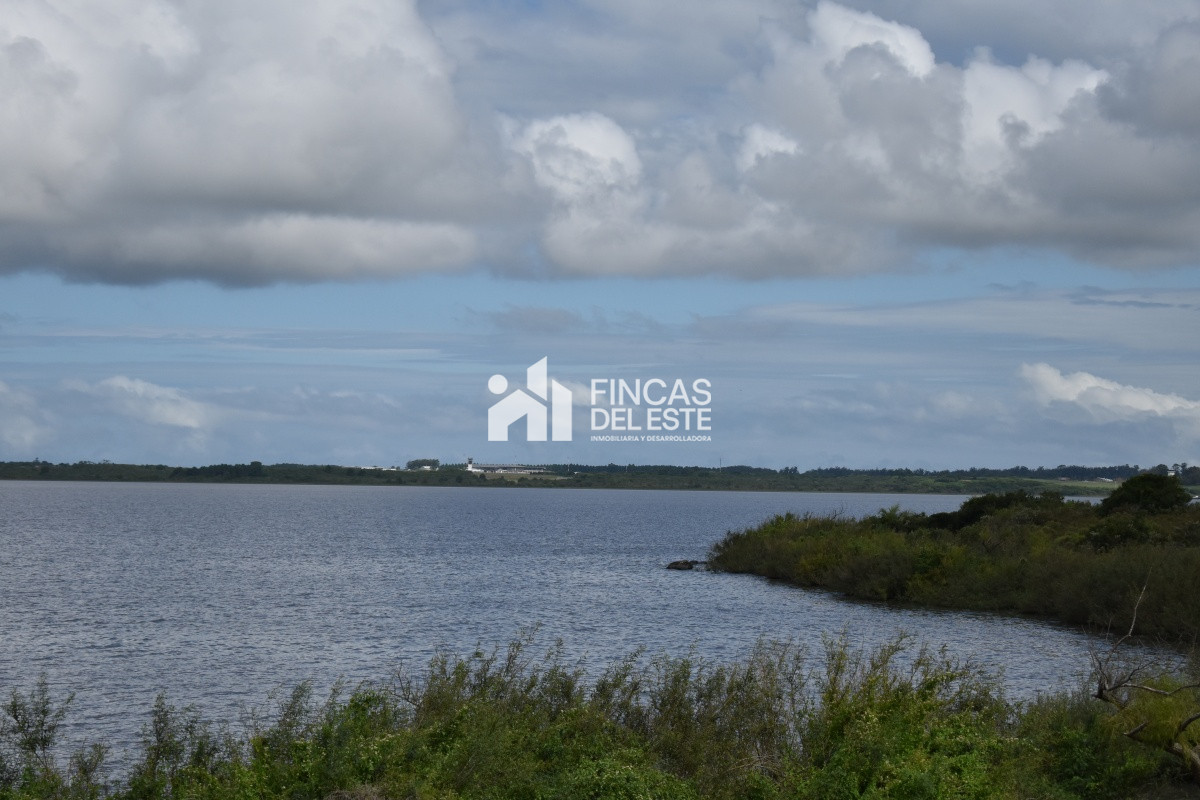Chacra ID.670/CHACRAS-EN-LAGUNA-DEL-SAUCE - CHACRAS EN LAGUNA DEL SAUCE