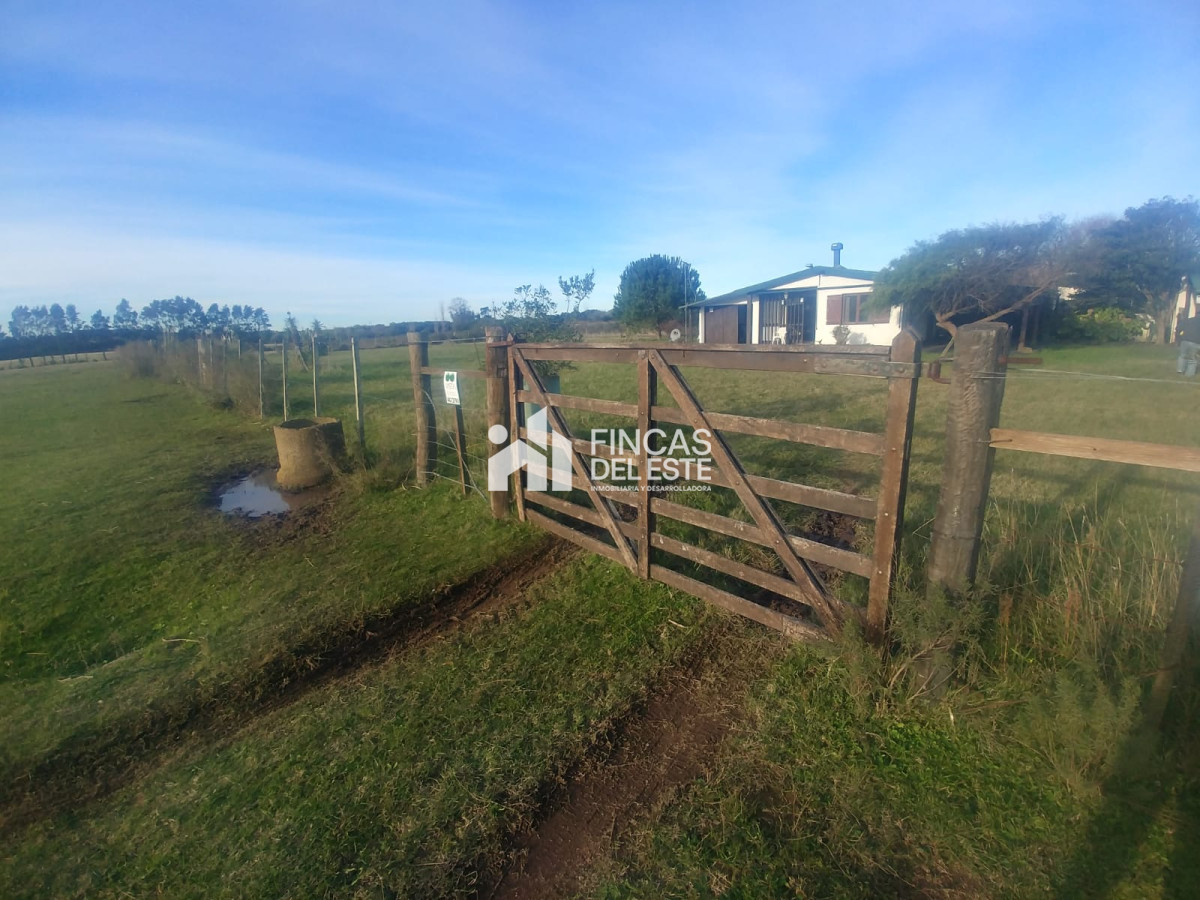 Chacra ID.442/Chacra-en-Piriapolis - Chacra en Piriapolis