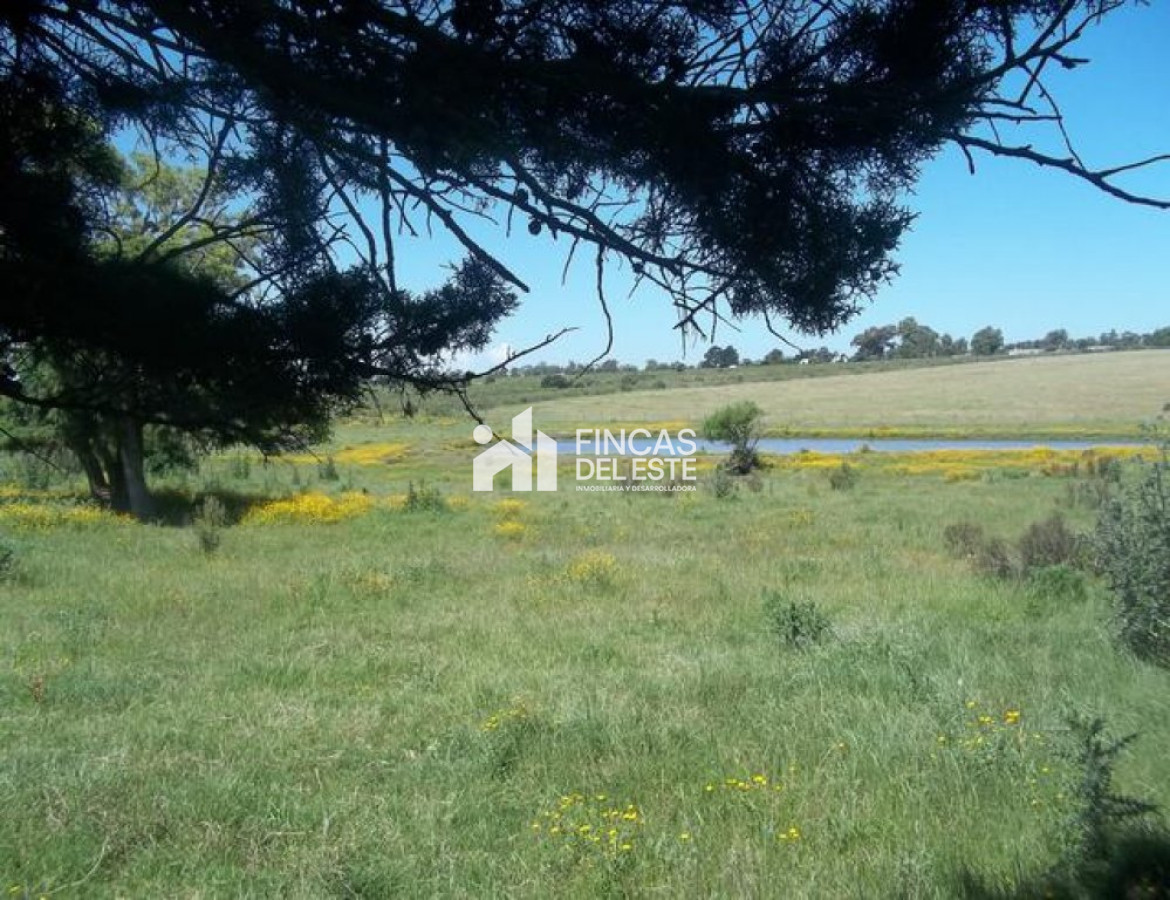 Chacra ID.452/Chacra-cercana-a-Laguna-de-los-Cisnes - Chacra cercana a Laguna de los Cisnes