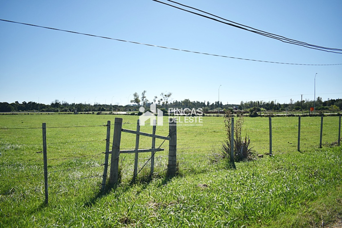 Chacra ID.727/CHACRA-SAN-CARLOS-RUTA-9 - CHACRA SAN CARLOS RUTA 9