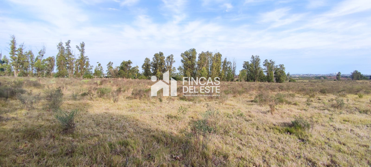 Chacra ID.1577/CHACRA-5Ha- - CHACRA  5Ha 