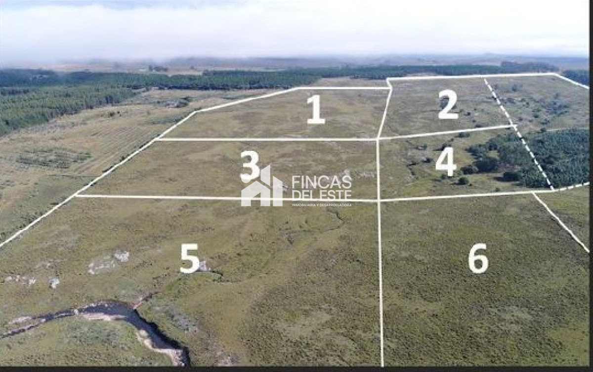 Oportunidad Chacras en ruta 12
