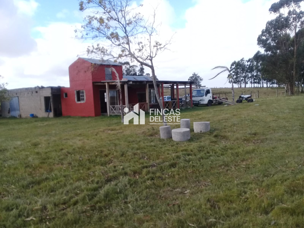 Chacra ID.451/Chacra-de-50-hectáreas- - Chacra de 50 hectáreas 