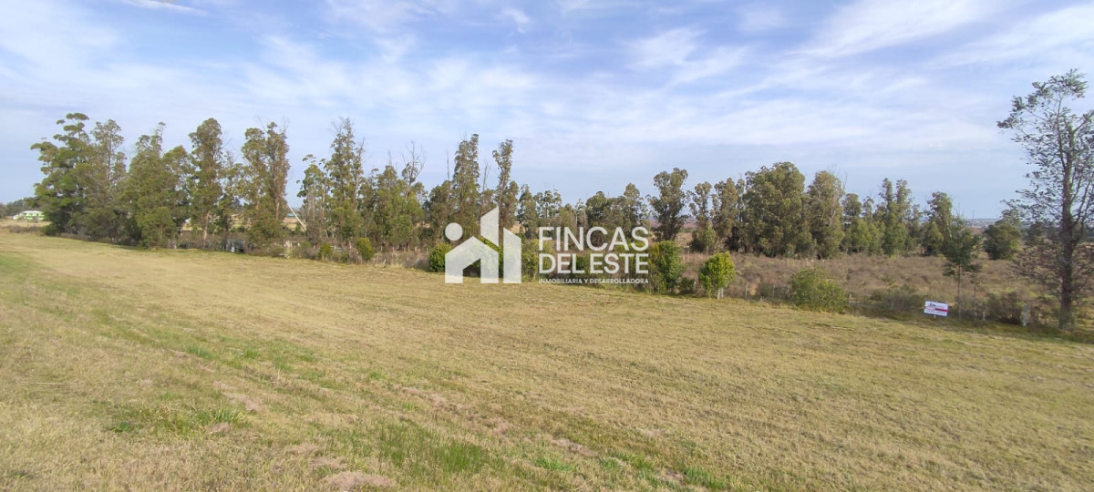 Chacra ID.1577/CHACRA-5Ha- - CHACRA  5Ha 