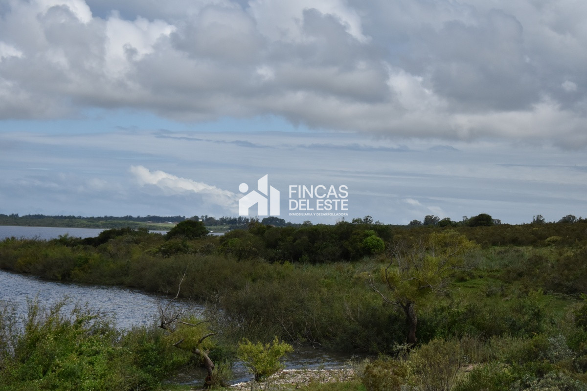 Chacra ID.670/CHACRAS-EN-LAGUNA-DEL-SAUCE - CHACRAS EN LAGUNA DEL SAUCE