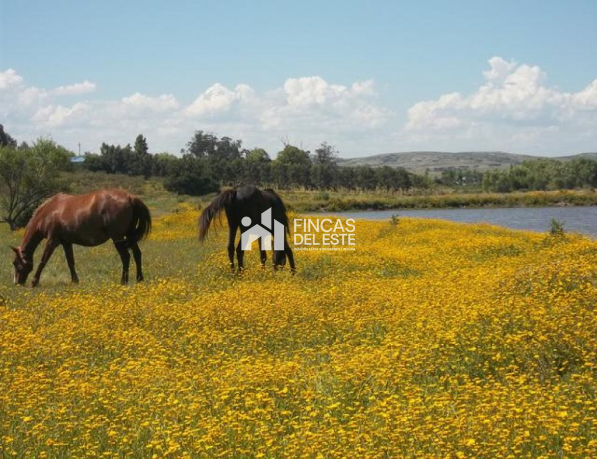 Chacra ID.452/Chacra-cercana-a-Laguna-de-los-Cisnes - Chacra cercana a Laguna de los Cisnes