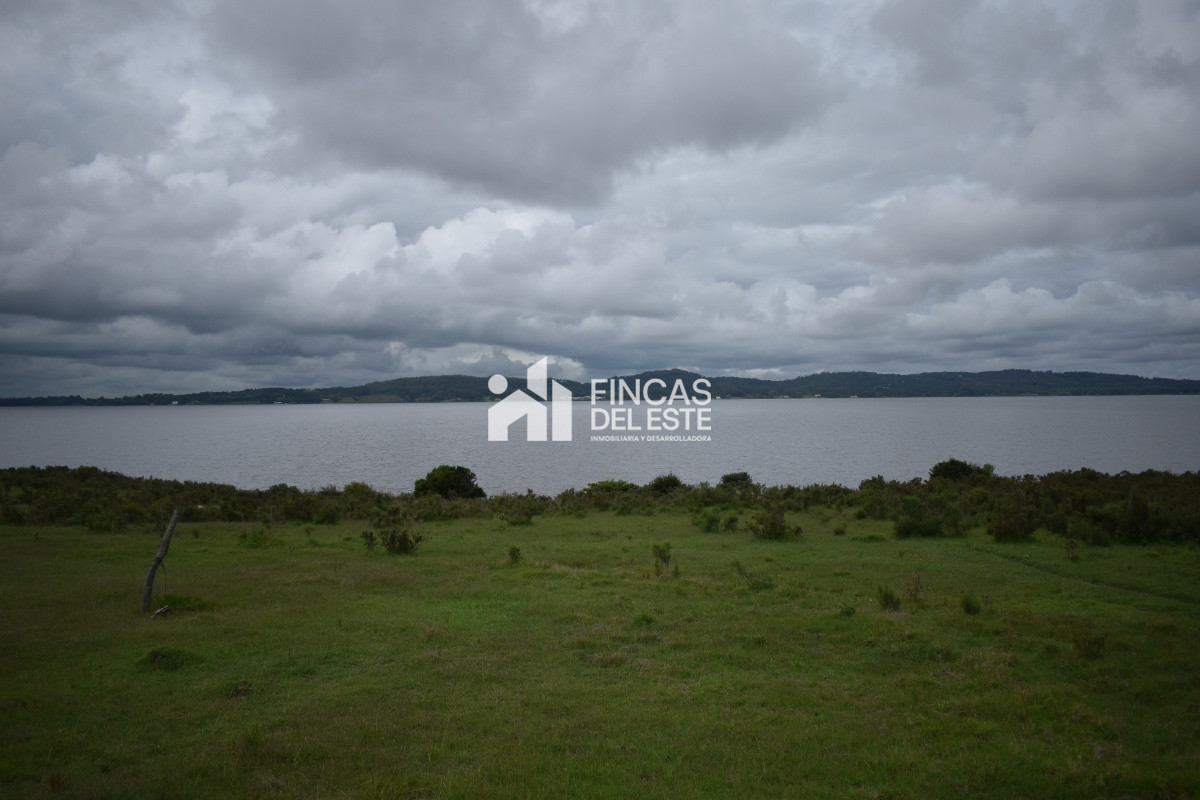Chacra ID.670/CHACRAS-EN-LAGUNA-DEL-SAUCE - CHACRAS EN LAGUNA DEL SAUCE