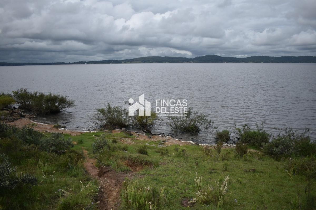 Chacra ID.670/CHACRAS-EN-LAGUNA-DEL-SAUCE - CHACRAS EN LAGUNA DEL SAUCE