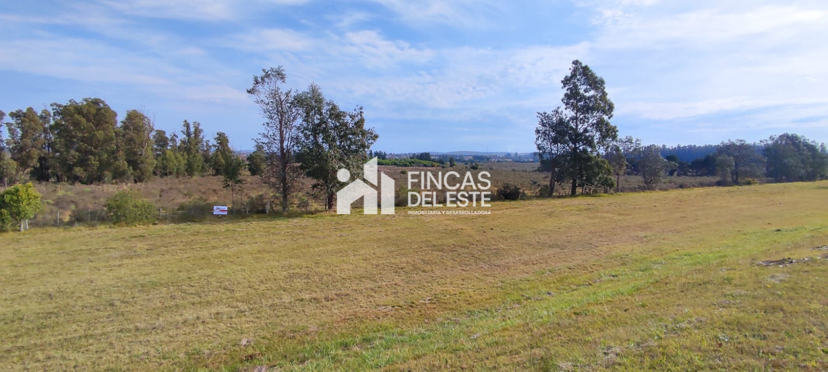 Chacra ID.1577/CHACRA-5Ha- - CHACRA  5Ha 