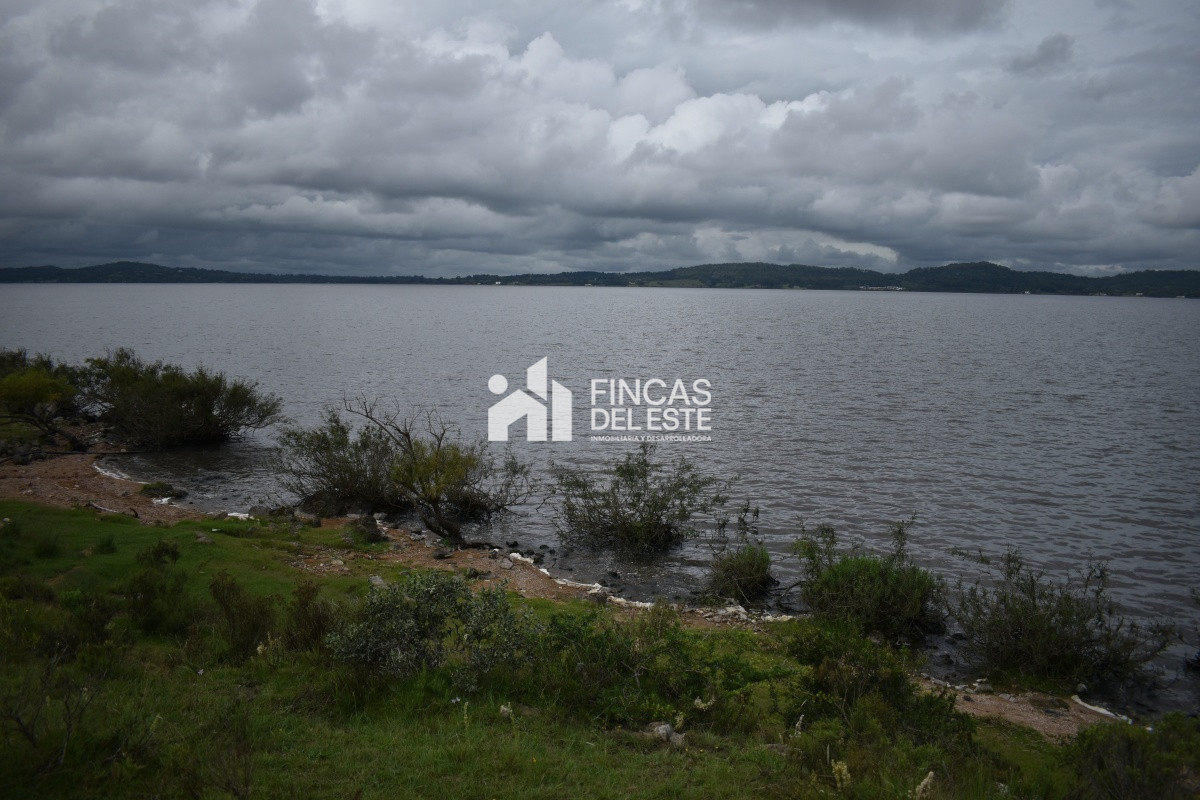 Chacra ID.670/CHACRAS-EN-LAGUNA-DEL-SAUCE - CHACRAS EN LAGUNA DEL SAUCE