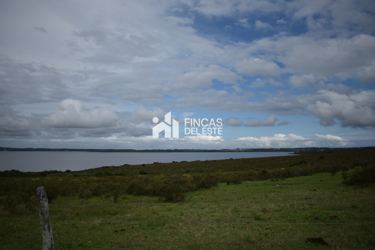 Chacra ID.670/CHACRAS-EN-LAGUNA-DEL-SAUCE - CHACRAS EN LAGUNA DEL SAUCE