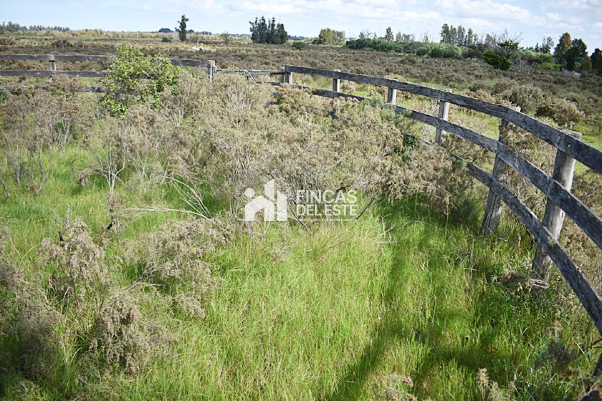 Chacra ID.709/CHACRA-SAN-CARLOS- - CHACRA SAN CARLOS 