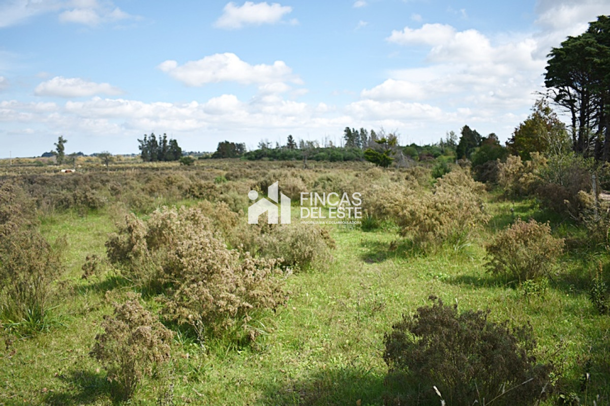 Chacra ID.709/CHACRA-SAN-CARLOS- - CHACRA SAN CARLOS 