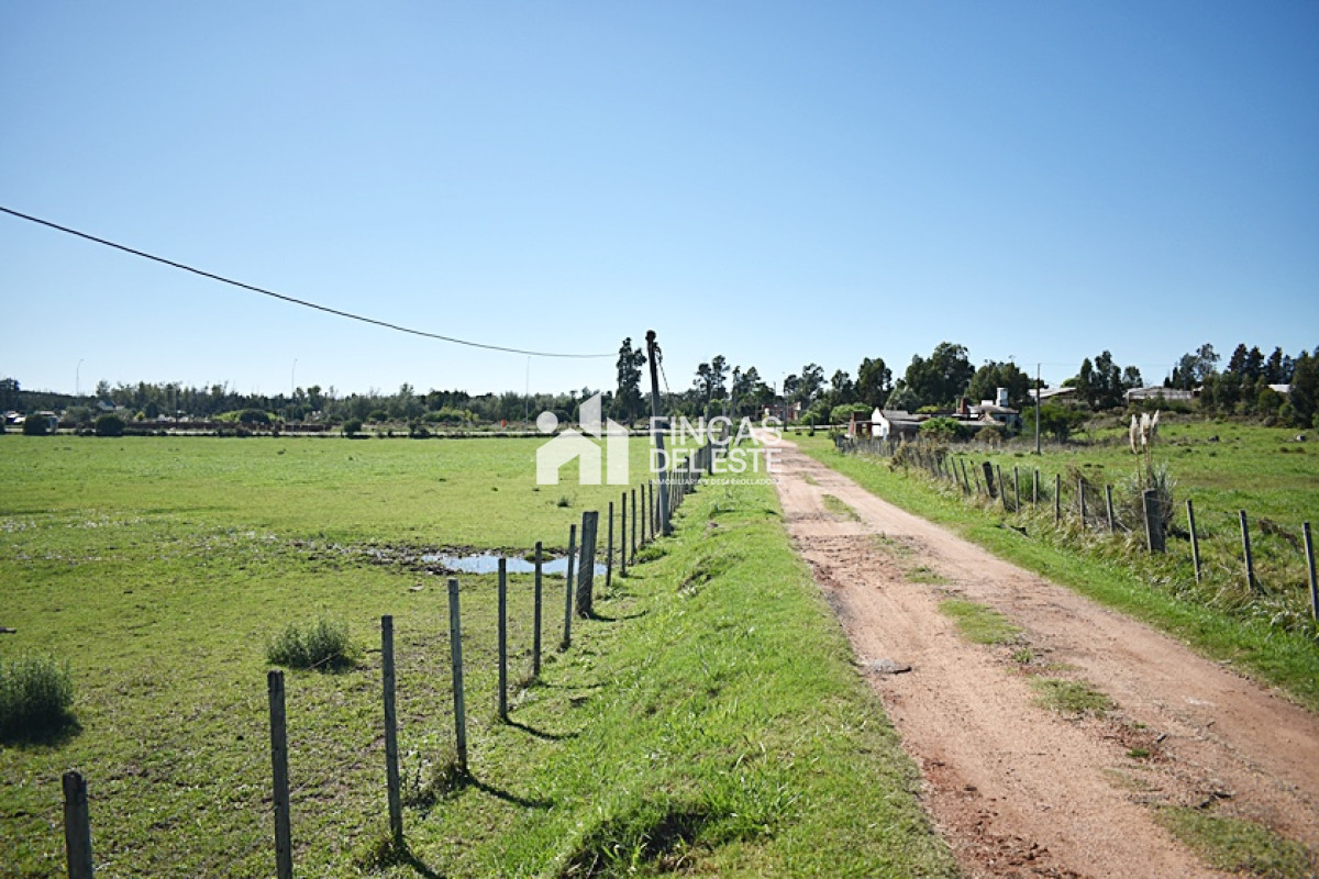 Chacra ID.727/CHACRA-SAN-CARLOS-RUTA-9 - CHACRA SAN CARLOS RUTA 9