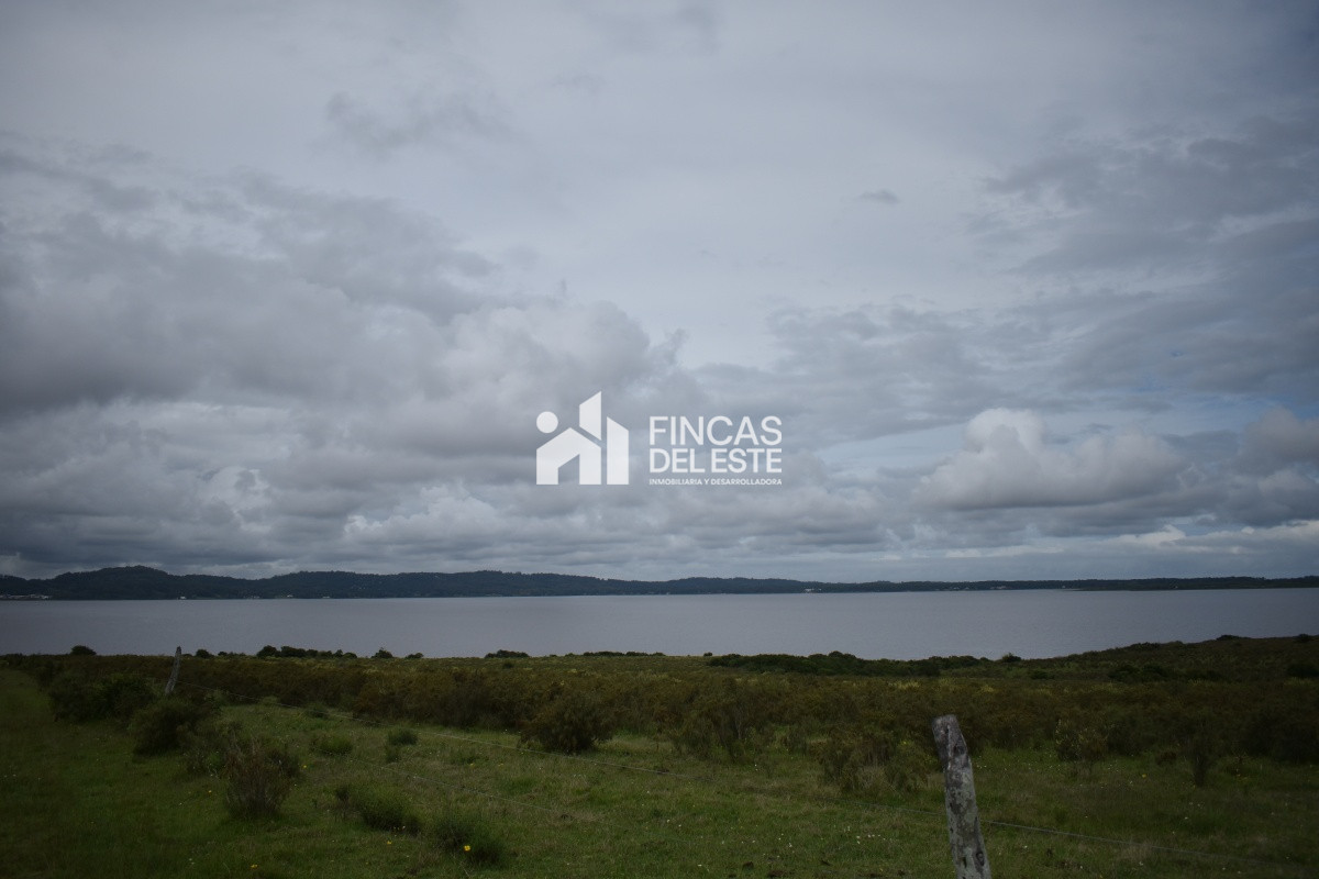 Chacra ID.670/CHACRAS-EN-LAGUNA-DEL-SAUCE - CHACRAS EN LAGUNA DEL SAUCE