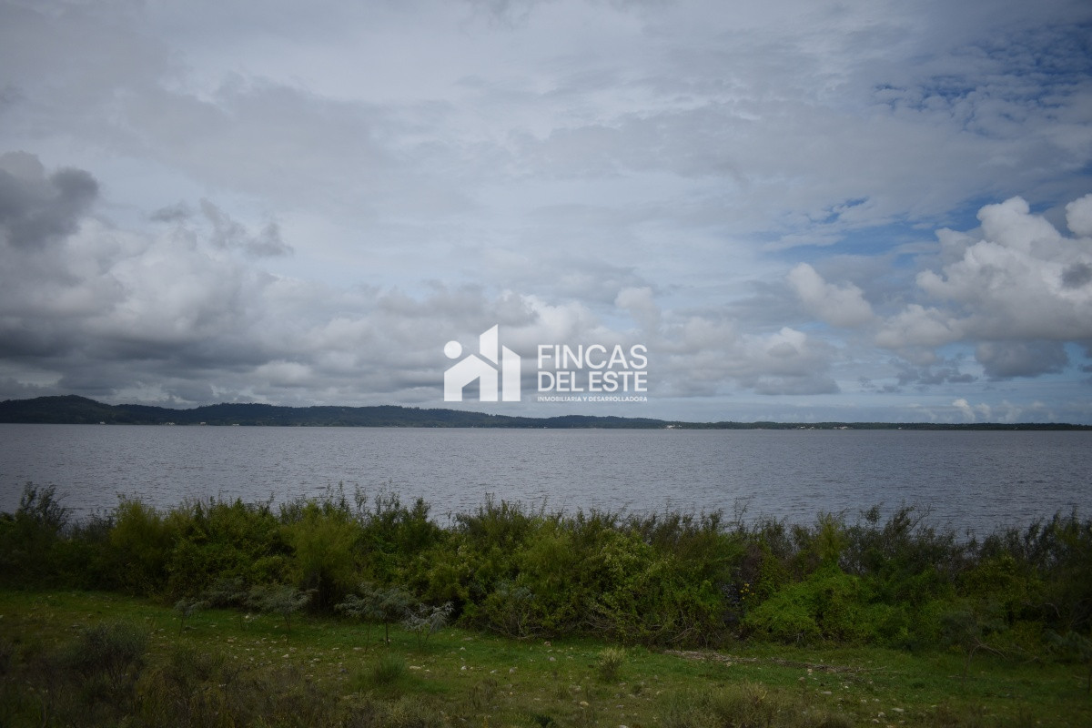 Chacra ID.670/CHACRAS-EN-LAGUNA-DEL-SAUCE - CHACRAS EN LAGUNA DEL SAUCE