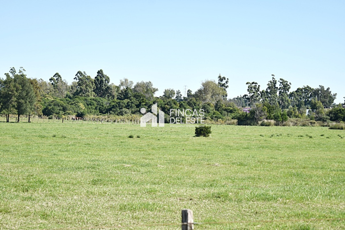 Chacra ID.727/CHACRA-SAN-CARLOS-RUTA-9 - CHACRA SAN CARLOS RUTA 9