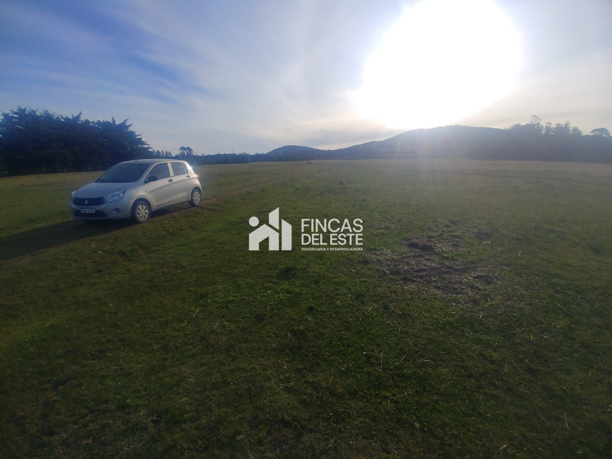 Chacra ID.442/Chacra-en-Piriapolis - Chacra en Piriapolis