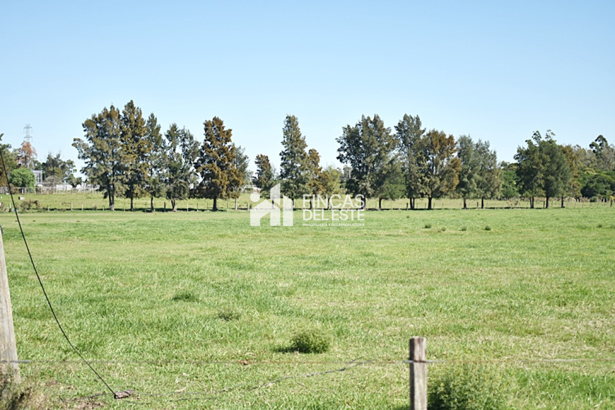 Chacra ID.727/CHACRA-SAN-CARLOS-RUTA-9 - CHACRA SAN CARLOS RUTA 9